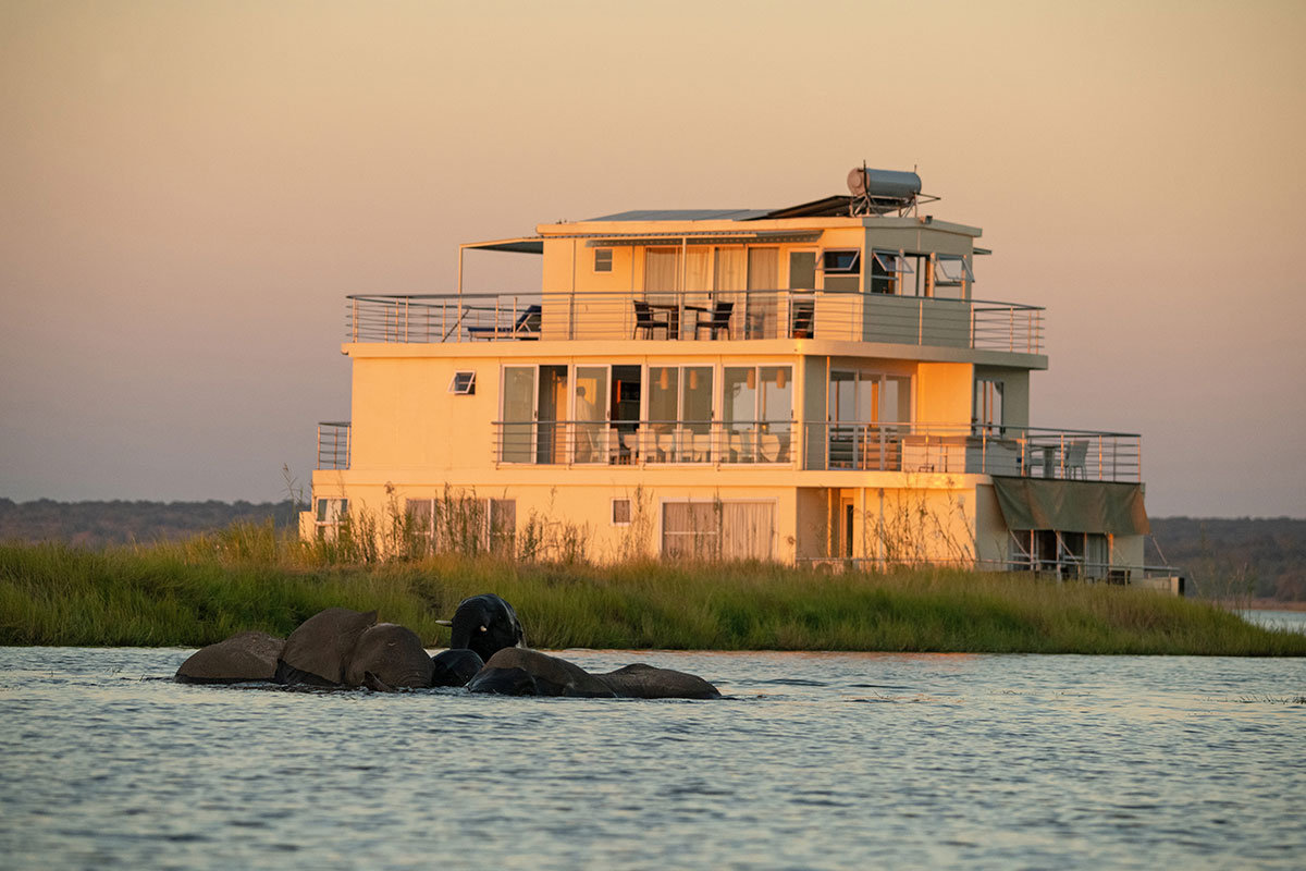 Chobe National Park Wildlife